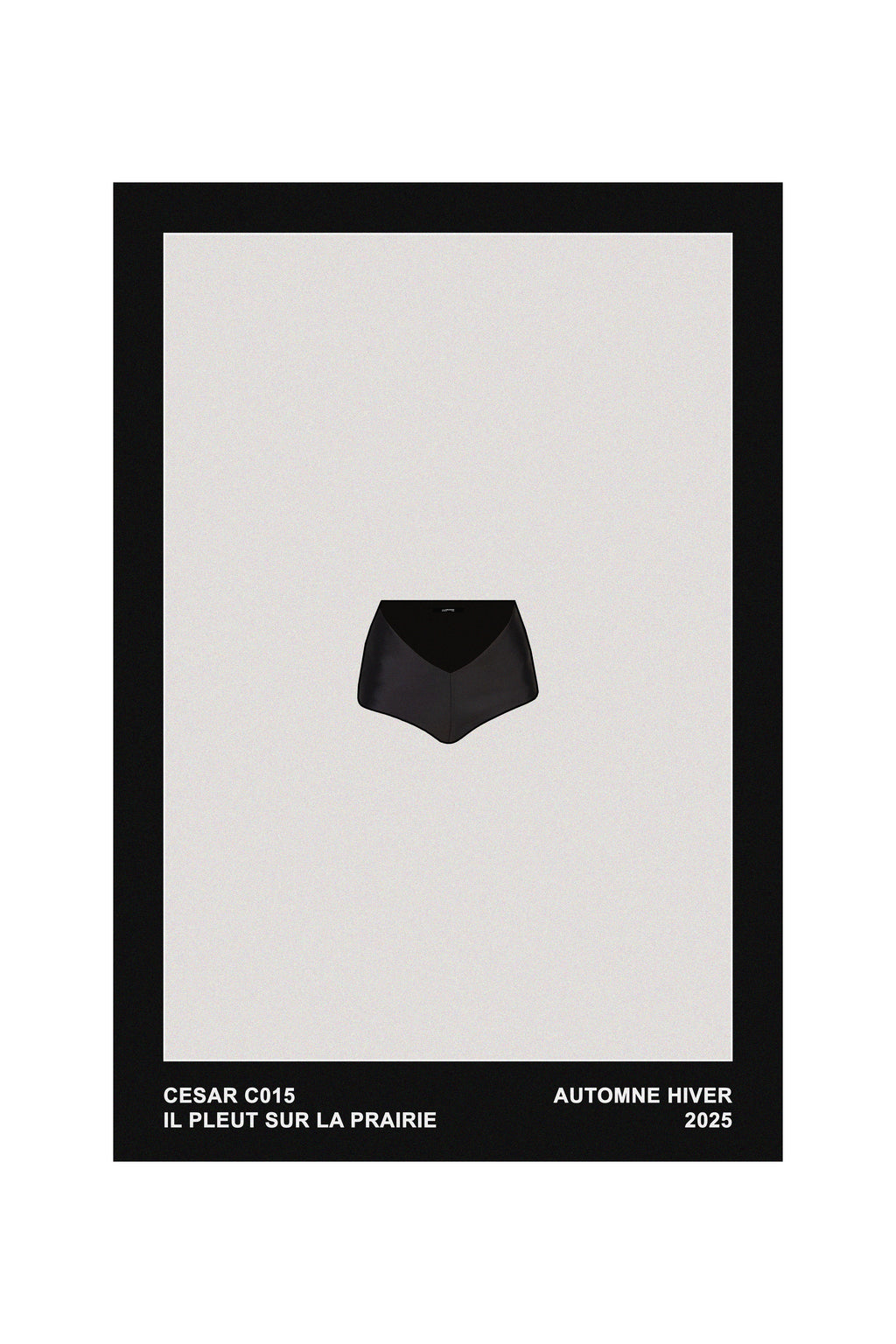 C015 SECOND-SKIN SILK BRIEF